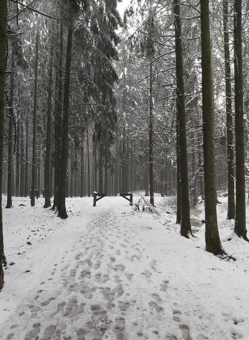 Le Refuge Ardennais *